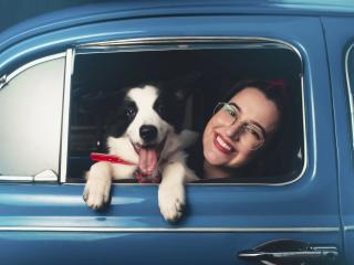 Chó mèo có được đi taxi không? Tránh rắc rối khi đưa thú cưng đi cùng