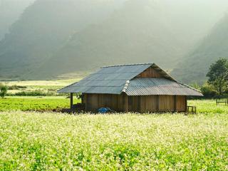 Cho thuê xe du lịch Mộc Châu uy tín, giá rẻ