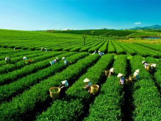 Thuê xe đời mới, giá rẻ đi du lịch Thái Nguyên tại Hà Nội