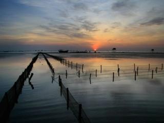 Top 7 địa điểm phượt Thái Bình hè 2019