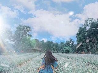 Top 7 địa điểm du lịch cuối tuần quanh Hà Nội