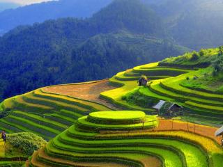 Top 10 điểm phải đến khi du lịch tại Sapa