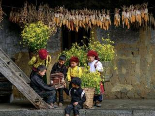 Du lịch Hà Giang vào dịp Tết Nguyên Đán