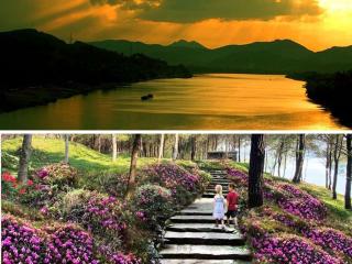 Khám phá đồi Vọng Cảnh – Không gian thanh bình, bí ẩn giữa lòng cố đô Huế