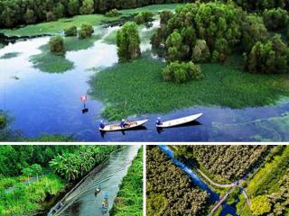 Khám phá vườn quốc gia U Minh Hạ – Điểm đến hấp dẫn nhất ở Cà Mau