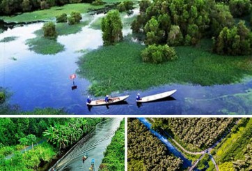 Khám phá vườn quốc gia U Minh Hạ – Điểm đến hấp dẫn nhất ở Cà Mau