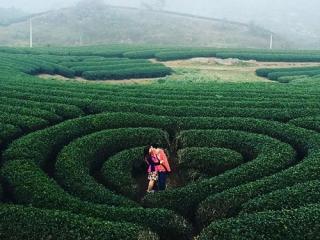 Kinh nghiệm du lịch Mộc Châu 2019