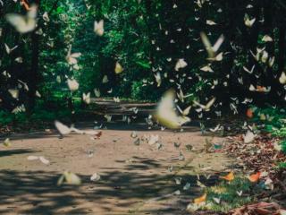 Địa điểm tham quan đặc sắc ở Long Thành và khu vực lân cận