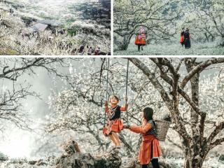 Khám phá cao nguyên Mộc Châu:Thiên đường ngọc lục bảo