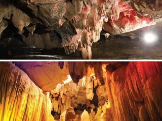 Tham quan Thung Nham: Bản hợp xướng sôi động của những kỳ quan nhiệt đới