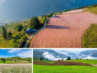 Kinh nghiệm du lịch Suối Thầu: Một góc trời Âu giữa núi rừng Tây Bắc