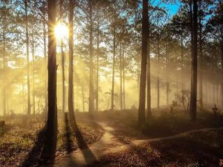 Trải nghiệm du lịch 12 tháng tại Đà Lạt có gì hấp dẫn?