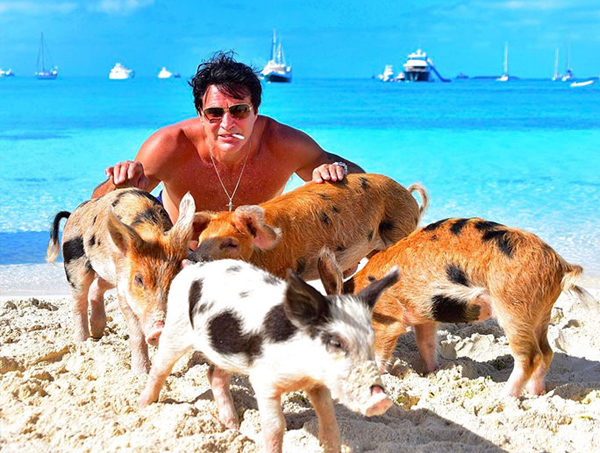 Big Major Cay nổi tiếng với những đàn lợn xinh xắn