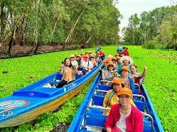 Chèo thuyền qua thảm bào tại Trà Sư