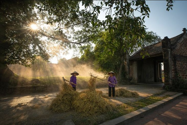 Làng Cựu
