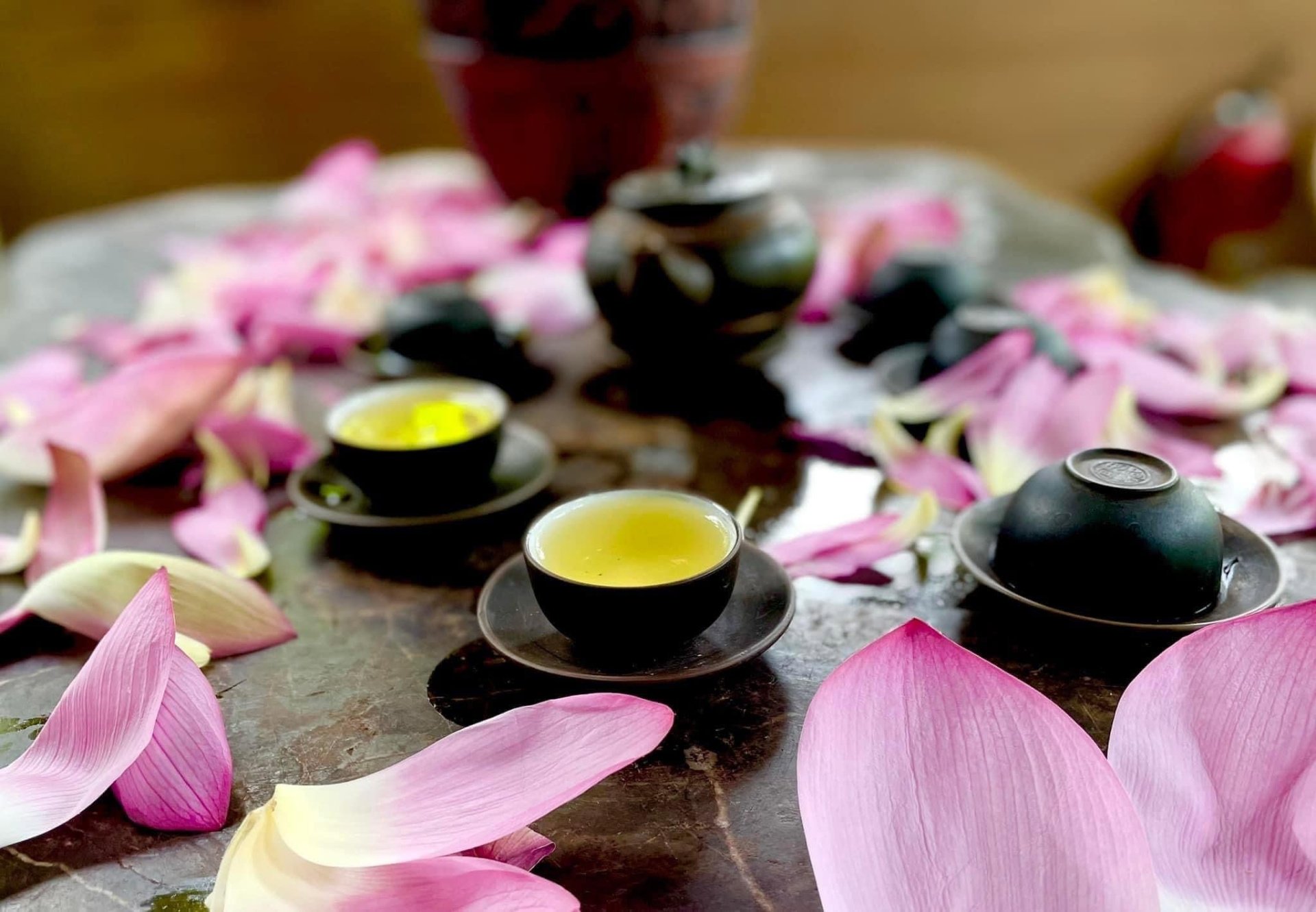 Nước trà sen