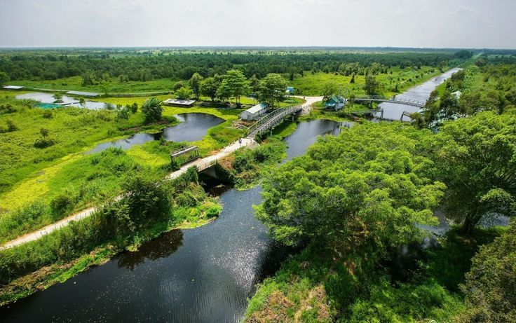 vuon-quoc-gia-phu-quoc.jpg (89 KB)