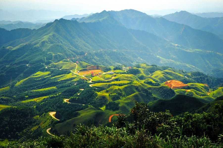 he-sinh-thai-mau-son.jpg (116 KB)