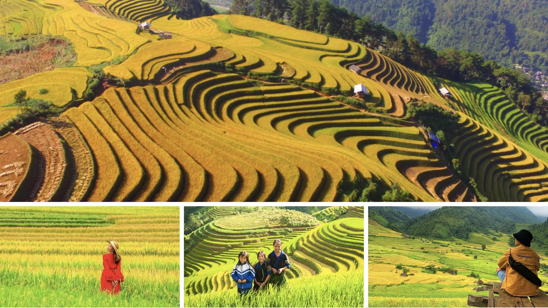 canh-dep-sapa.jpg (611 KB)