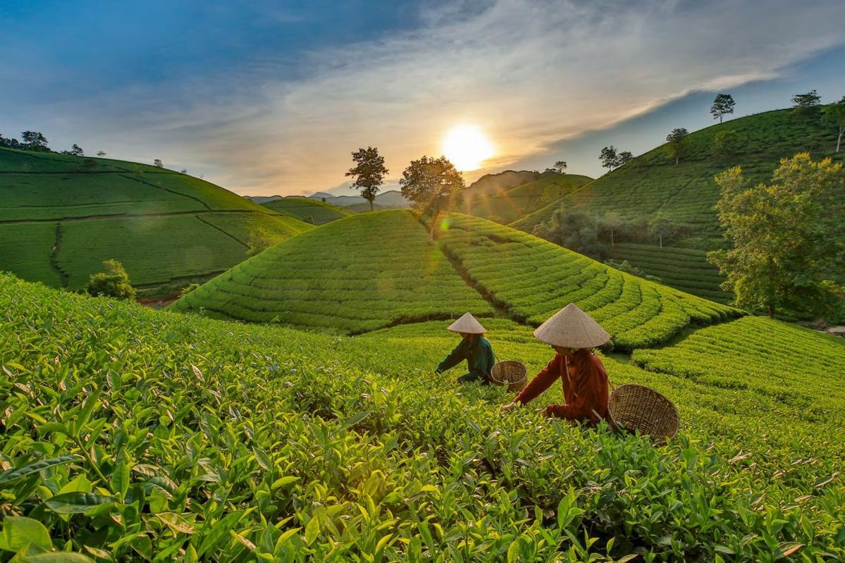doi-che-sapa.jpg (202 KB)
